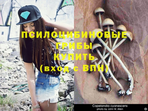 Альфа ПВП Абаза