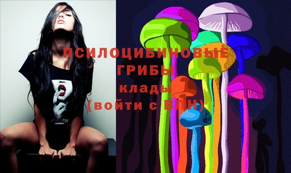 Альфа ПВП Абаза