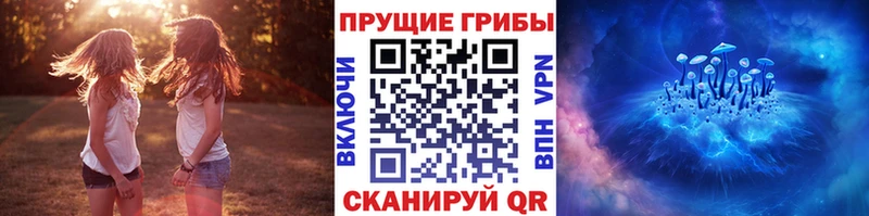 Галлюциногенные грибы ЛСД  купить  цена  OMG ССЫЛКА  Ржев 