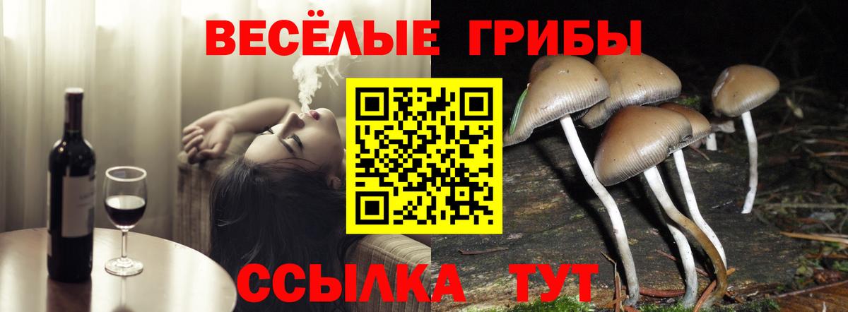 Ржев  продажа наркотиков  Псилоцибиновые грибы Psilocybe  Вход с VPN  Галлюциногенные грибы Psilocybe 